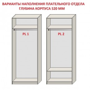 Шкаф распашной серия «ЗЕВС» (PL3/С1/PL2) Серый камень/Небраска натуральный в Лысьве - lysva.ok-mebel.com | фото 9