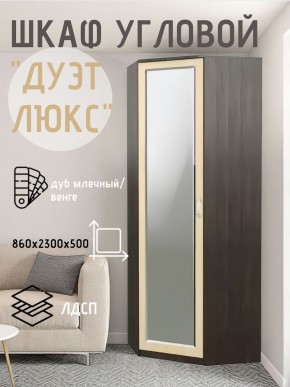 Шкаф угловой Дуэт Люкс с зеркалом в Лысьве - lysva.ok-mebel.com | фото 5
