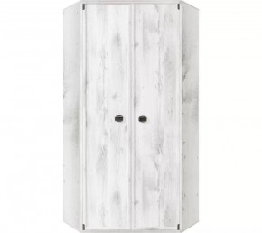 Шкаф угловой JSZFN 2d (МС Индиана) сосна каньон в Лысьве - lysva.ok-mebel.com | фото