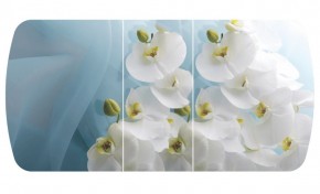 Стол Бостон-3 (Белая Орхидея) 1100/1420*700, опора Брифинг в Лысьве - lysva.ok-mebel.com | фото 2