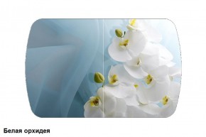 Стол Бостон 900*600 (опоры Брифинг) Стекло/фотопечать Белая Орхидея в Лысьве - lysva.ok-mebel.com | фото