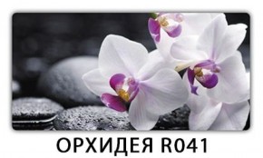 Стол раздвижной Бриз лайм R156 Орхидея R041 в Лысьве - lysva.ok-mebel.com | фото 17
