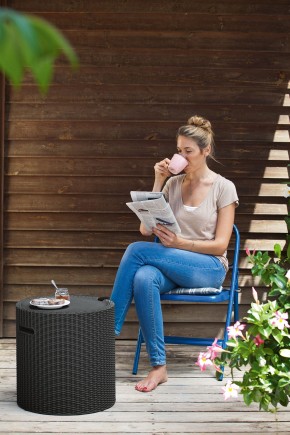 Столик-холодильник Кул-Стул (Cool stool) графит в Лысьве - lysva.ok-mebel.com | фото