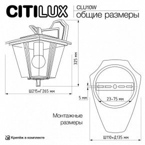 Светильник на штанге Citilux FORTS CLU10W в Лысьве - lysva.ok-mebel.com | фото 9