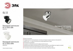 Светильник на штанге Эра OL12 GX53 SWH Б0049035 в Лысьве - lysva.ok-mebel.com | фото 5