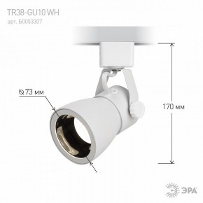 Светильник на штанге Эра  TR38-GU10 WH в Лысьве - lysva.ok-mebel.com | фото 6