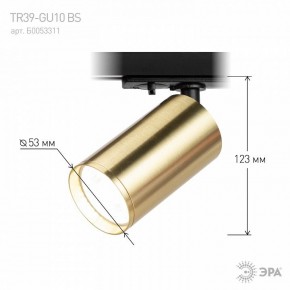 Светильник на штанге Эра  TR39-GU10 BS в Лысьве - lysva.ok-mebel.com | фото 6