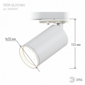 Светильник на штанге Эра  TR39-GU10 WH в Лысьве - lysva.ok-mebel.com | фото 7