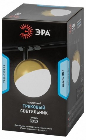 Светильник на штанге Эра  TR42-GX53 BS в Лысьве - lysva.ok-mebel.com | фото 6