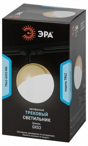 Светильник на штанге Эра  TR42-GX53 MG в Лысьве - lysva.ok-mebel.com | фото 6