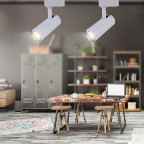 Светильник на штанге Эра  TR5-20 COB WH в Лысьве - lysva.ok-mebel.com | фото 4
