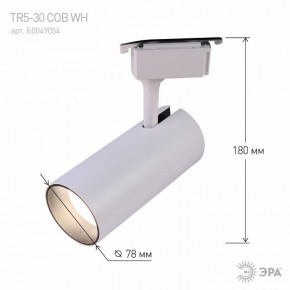 Светильник на штанге Эра  TR5-30 COB WH в Лысьве - lysva.ok-mebel.com | фото 6