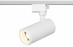 Светильник на штанге Эра  TR59 - 2040 WH в Лысьве - lysva.ok-mebel.com | фото 5