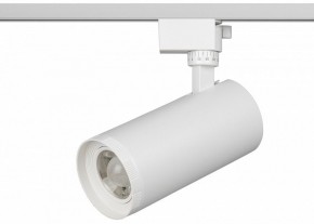 Светильник на штанге Эра  TR59 - 3030 WH в Лысьве - lysva.ok-mebel.com | фото 2