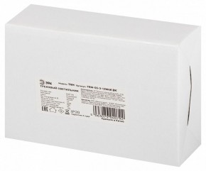 Светильник на штанге Эра  TRM-S5-3-12W4K-BK в Лысьве - lysva.ok-mebel.com | фото 8