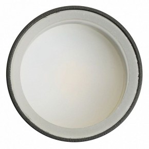 Светильник на штанге Feron ML1001 51371 в Лысьве - lysva.ok-mebel.com | фото 4