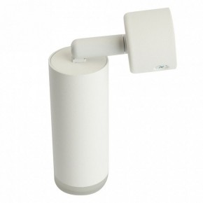 Светильник на штанге Feron ML1021 51390 в Лысьве - lysva.ok-mebel.com | фото 3