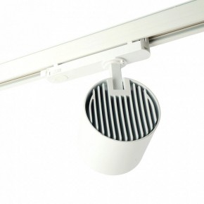 Светильник на штанге Feron TR Reflex 52058 в Лысьве - lysva.ok-mebel.com | фото 3