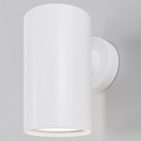 Светильник на штанге Maytoni Clyde O493WL-01W в Лысьве - lysva.ok-mebel.com | фото