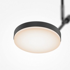 Светильник на штанге Maytoni Fad MOD070CL-L8B3K в Лысьве - lysva.ok-mebel.com | фото 4