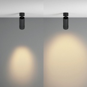 Светильник на штанге Maytoni Focus Zoom C055CL-L12W2.7K-Z-B в Лысьве - lysva.ok-mebel.com | фото 3