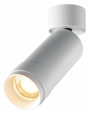 Светильник на штанге Maytoni Focus Zoom C055CL-L12W2.7K-Z-W в Лысьве - lysva.ok-mebel.com | фото