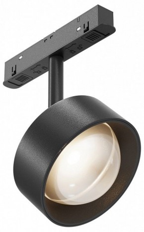 Светильник на штанге Maytoni Lens TR217-2-15W3K-B в Лысьве - lysva.ok-mebel.com | фото