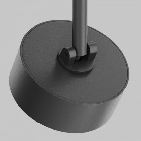 Светильник на штанге Maytoni Lens TR217-2-15W3K-B в Лысьве - lysva.ok-mebel.com | фото 11