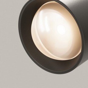 Светильник на штанге Maytoni Lens TR217-2-15W3K-B в Лысьве - lysva.ok-mebel.com | фото 12