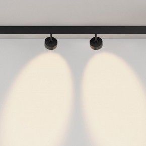 Светильник на штанге Maytoni Lens TR217-2-15W3K-B в Лысьве - lysva.ok-mebel.com | фото 6