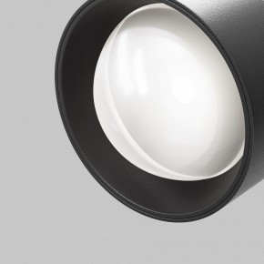 Светильник на штанге Maytoni Lens TR217-2-15W4K-B в Лысьве - lysva.ok-mebel.com | фото 10