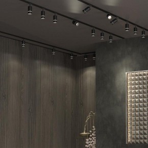 Светильник на штанге Novotech Elina 370777 в Лысьве - lysva.ok-mebel.com | фото 4
