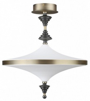 Светильник на штанге Odeon Light Ula 5404/43CL в Лысьве - lysva.ok-mebel.com | фото