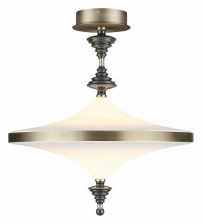 Светильник на штанге Odeon Light Ula 5404/43CL в Лысьве - lysva.ok-mebel.com | фото 2
