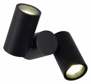Светильник на штанге ST-Luce Ecollo SL9011.402.02 в Лысьве - lysva.ok-mebel.com | фото 2