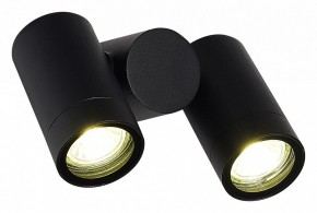 Светильник на штанге ST-Luce Ecollo SL9011.402.02 в Лысьве - lysva.ok-mebel.com | фото 3