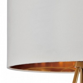 Торшер Lumion Tapioka 8077/1F в Лысьве - lysva.ok-mebel.com | фото 6