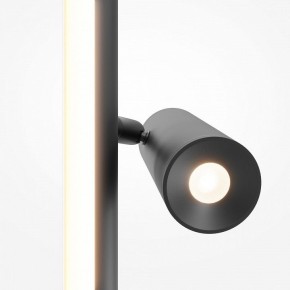 Торшер Maytoni Thin MOD395FL-L28B3K в Лысьве - lysva.ok-mebel.com | фото 6