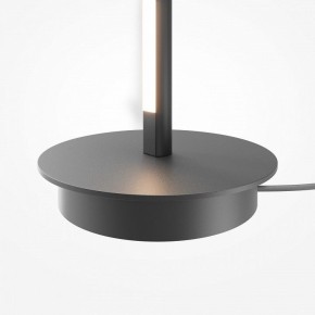 Торшер Maytoni Thin MOD395FL-L28B3K в Лысьве - lysva.ok-mebel.com | фото 8
