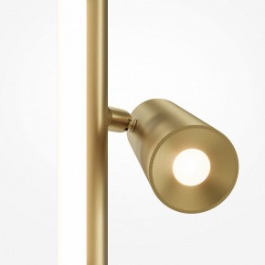 Торшер Maytoni Thin MOD395FL-L28BS3K в Лысьве - lysva.ok-mebel.com | фото 5