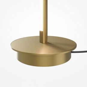 Торшер Maytoni Thin MOD395FL-L28BS3K в Лысьве - lysva.ok-mebel.com | фото 7