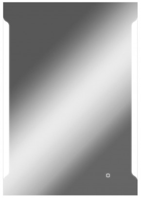 Зеркало Оттава 1000х700 с подсветкой Домино (GL7028Z) в Лысьве - lysva.ok-mebel.com | фото 1